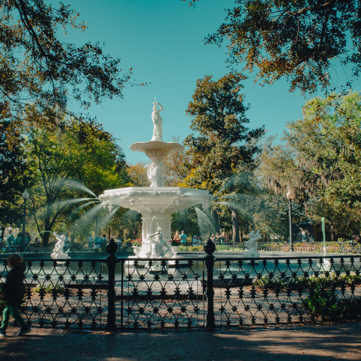 Savannah’s Top Spots for Shrimp and Grits to Savannah